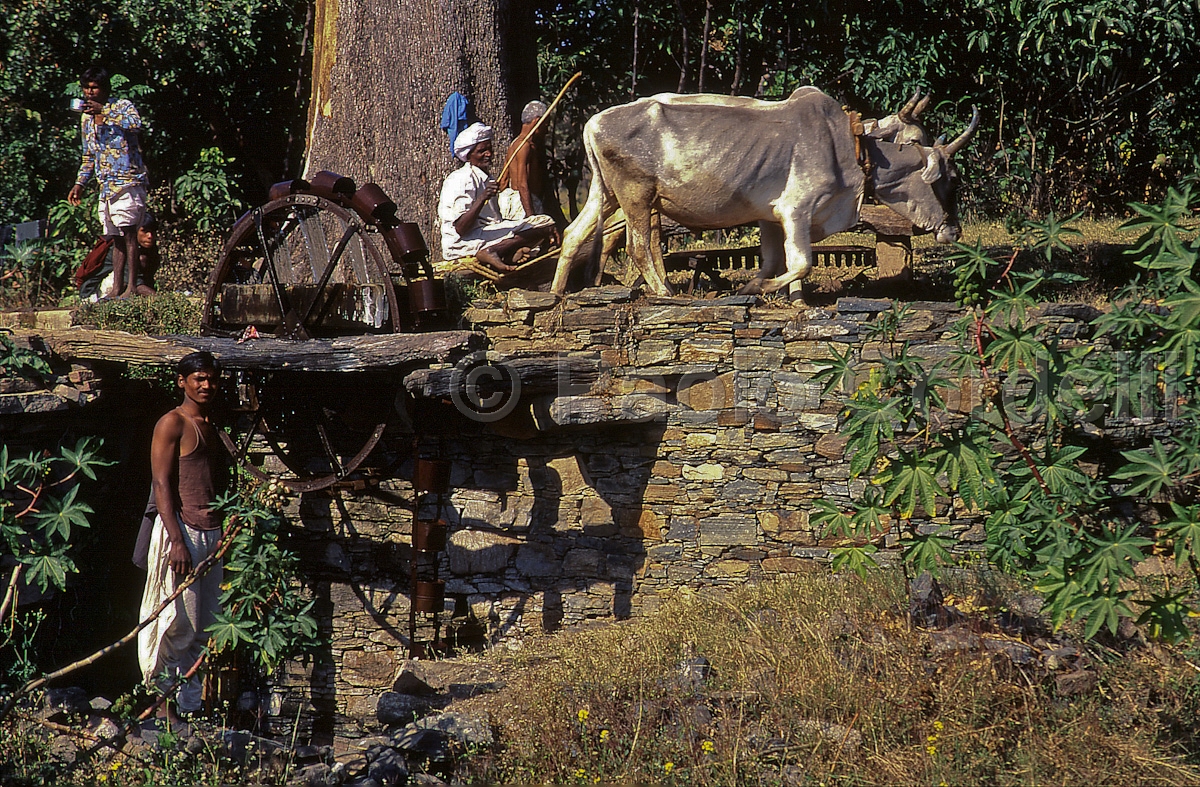 Water mill, Rajasthan, India
 (cod:India 60)